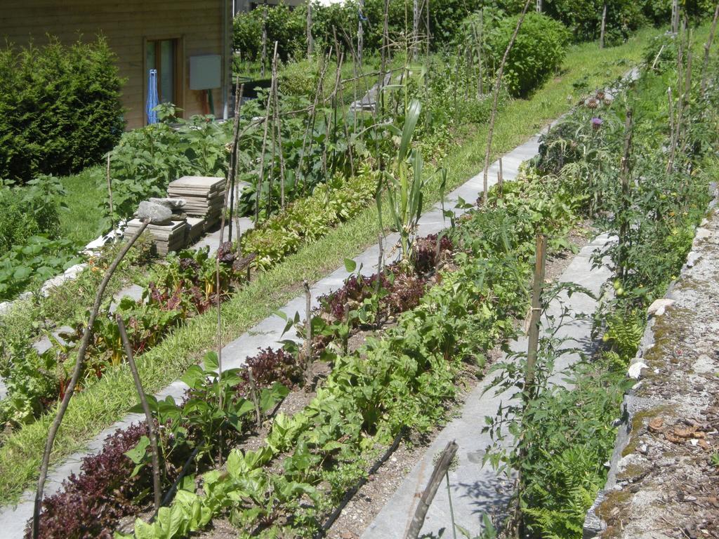 Eco-Hotel Cristallina Coglio エクステリア 写真