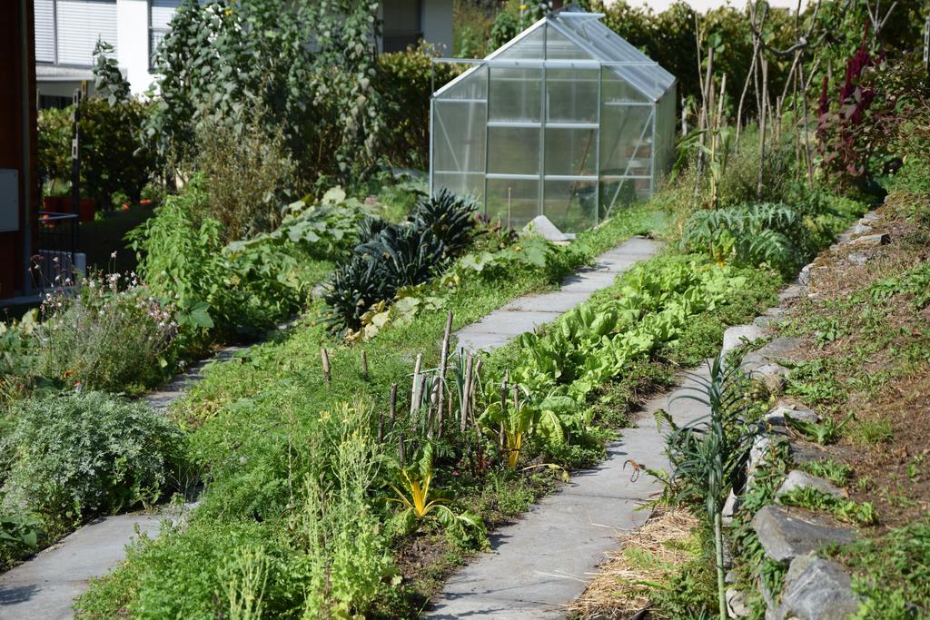 Eco-Hotel Cristallina Coglio エクステリア 写真