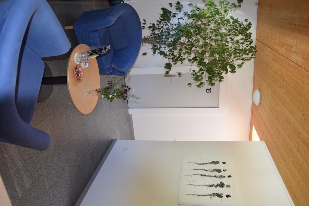Eco-Hotel Cristallina Coglio エクステリア 写真